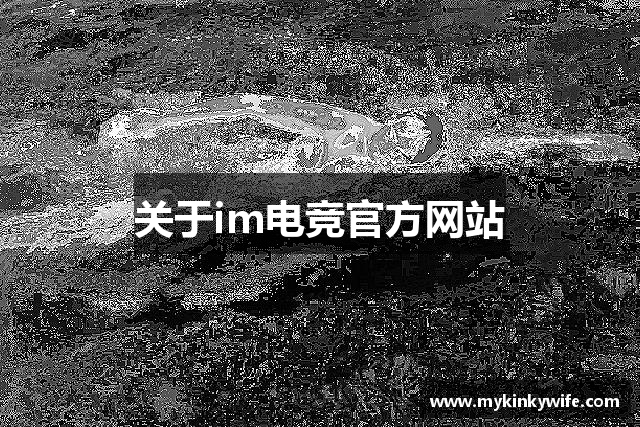 关于im电竞官方网站
